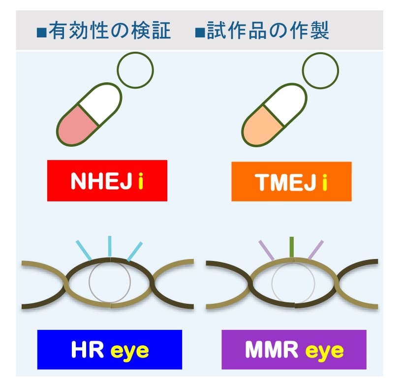 活動計画（申請時）の画像