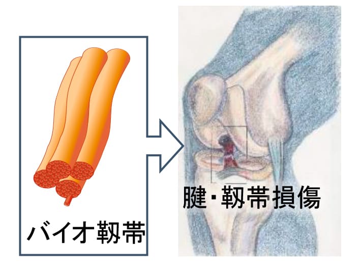 技術シーズの概要の画像