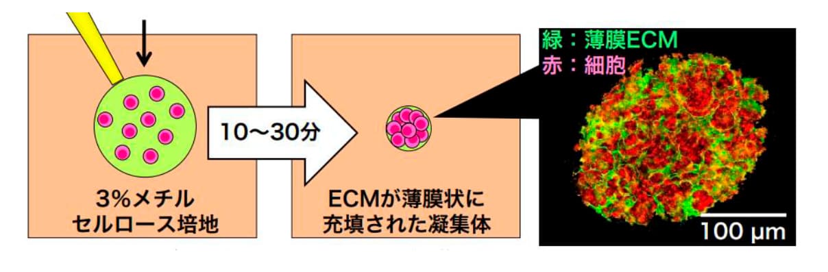 技術シーズの概要の画像