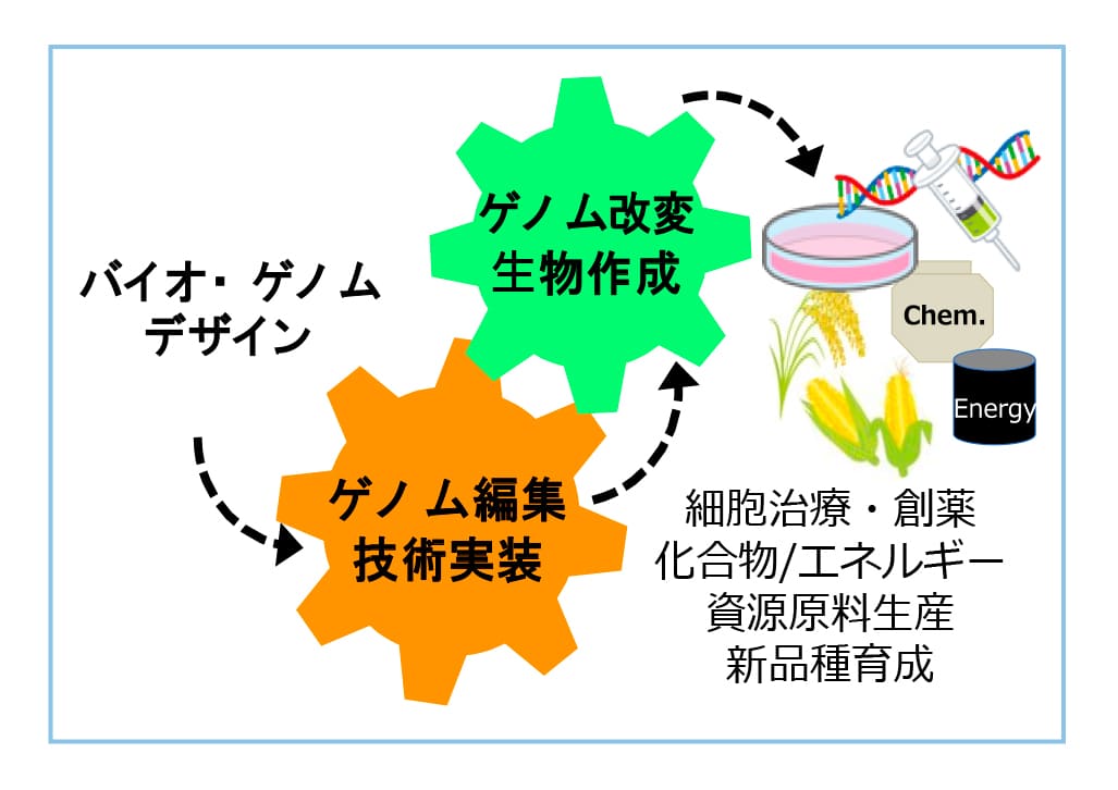 活動計画（申請時）の画像