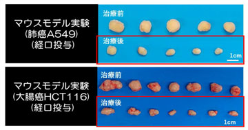 技術シーズの概要の画像