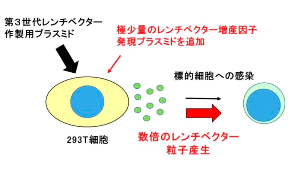 技術シーズの概要の画像