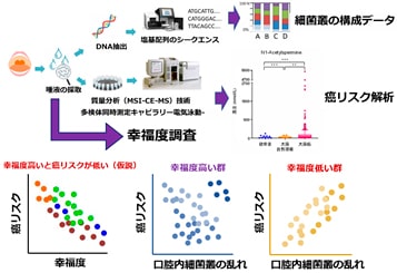 活動計画（申請時）の画像