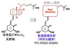 技術シーズの概要の画像