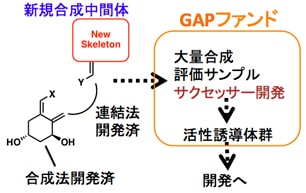 活動計画（申請時）の画像