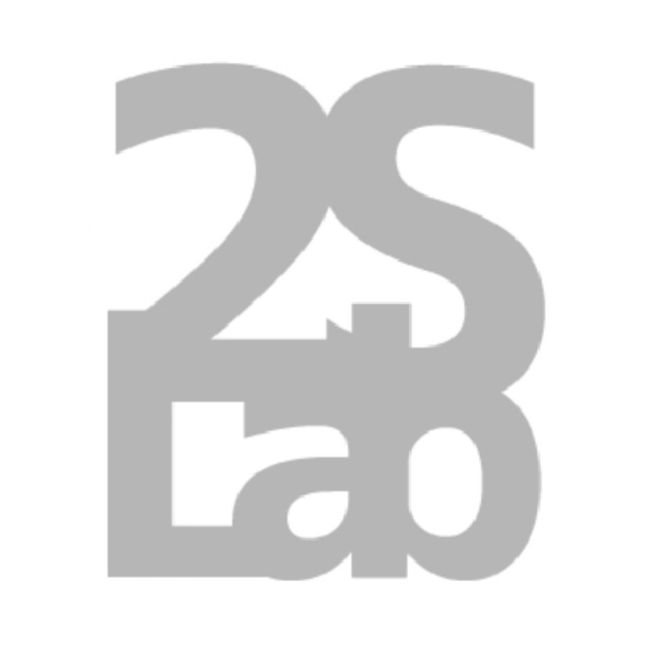 株式会社　　　　ツーエスラボ